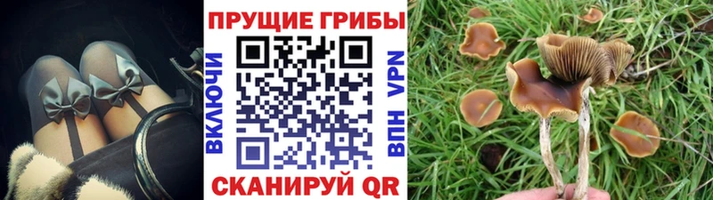 mega   магазин  наркотиков  Тимашёвск  Галлюциногенные грибы MAGIC MUSHROOMS 